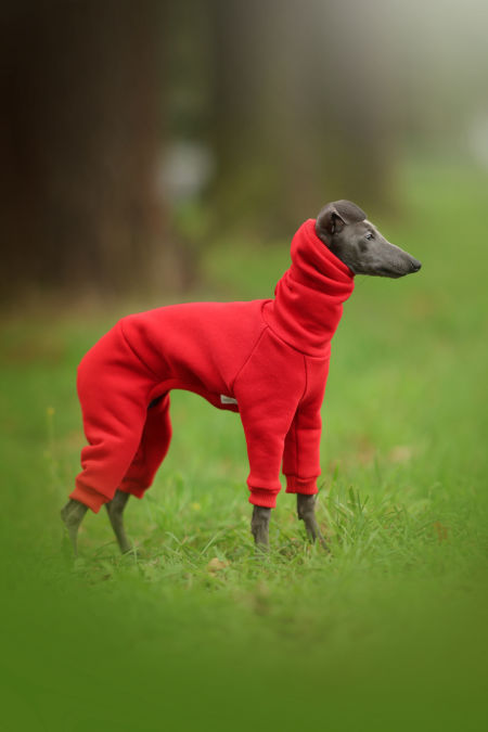 Sweatshirt jumpsuit hood PUPPY - different colors - GreyIggy image 4