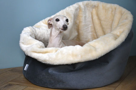 Bucket Bed - limited collection - GreyIggy image 1