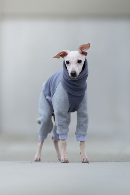 Fleece jumpsuit PUPPY two-tone - different variants - GreyIggy image 2