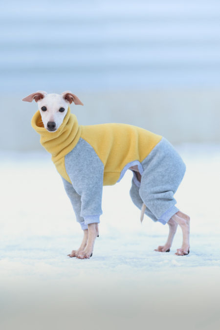 Fleece jumpsuit PUPPY two-tone - different variants - GreyIggy image 3