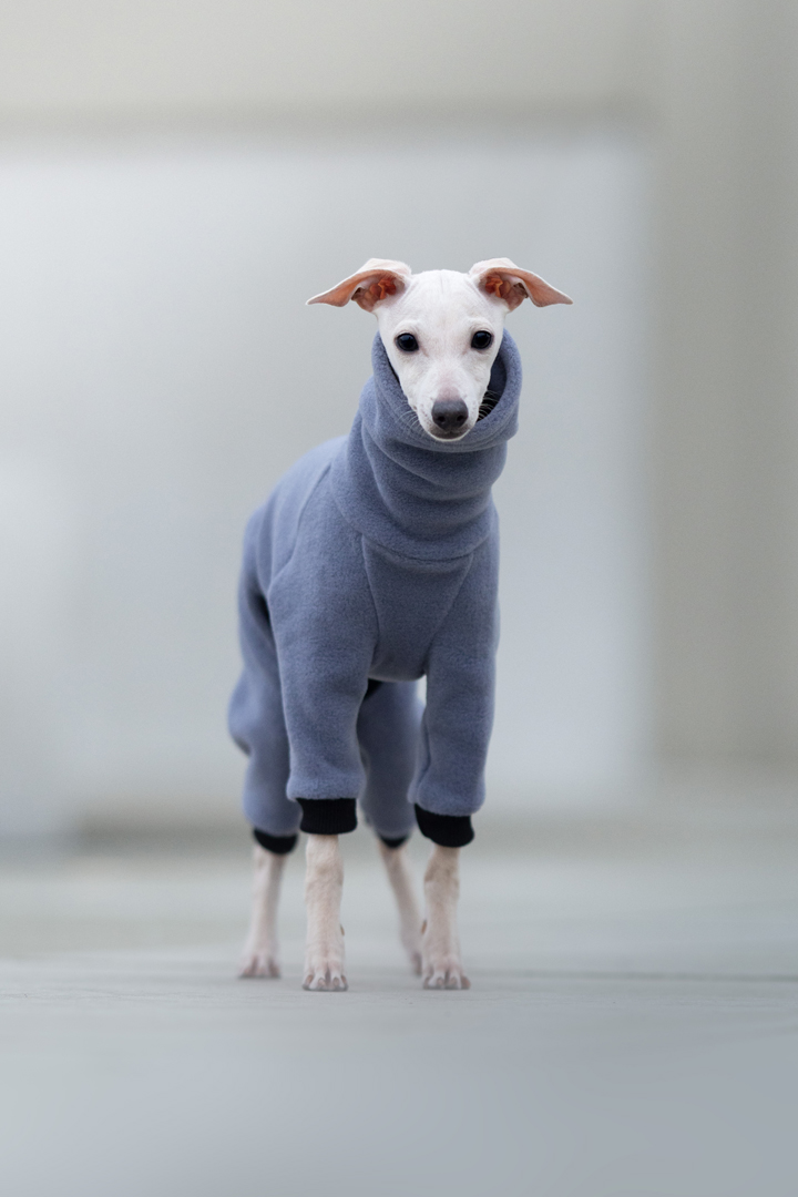 Fleece jumpsuit PUPPY - different colors - GreyIggy image 1